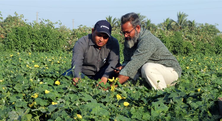 Innovation by farmers, for farmers