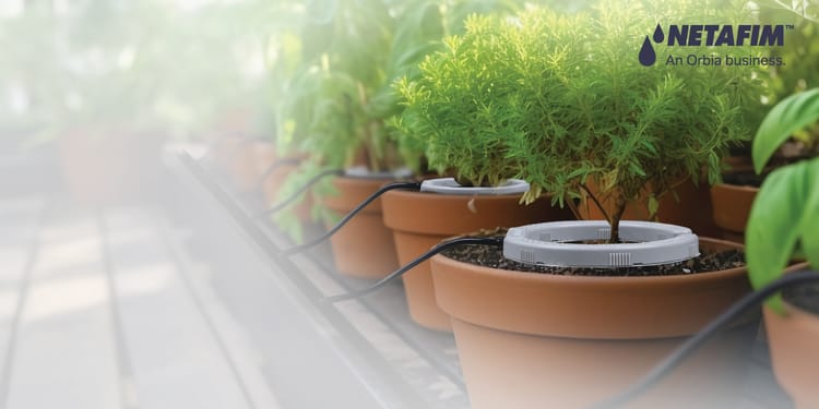 NetBow™  Garden Irrigation Kit