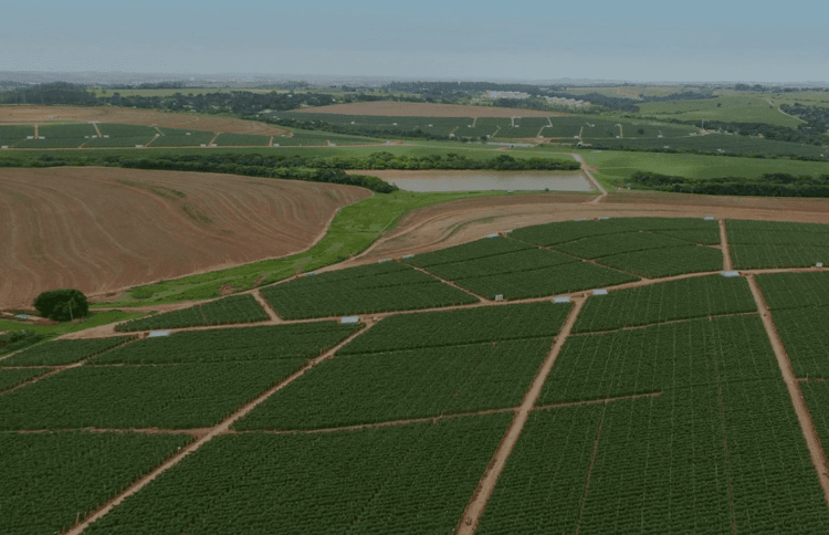 End-To-End Projects: GROWING YOUR SUCCESS