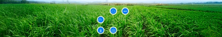 Banner Automating Drip Watering Systems with Smart Timers & Sensors | Netafim GrowSphere