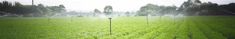 Banner Top 5 Benefits of Using Sprinkler Irrigation Systems for Indian Farms