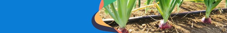 Banner Best Drip Irrigation Systems for Vegetable Farming in India