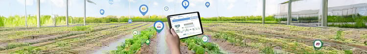Banner The Impact of Digital Farming on Sustainable Agricultural Practices