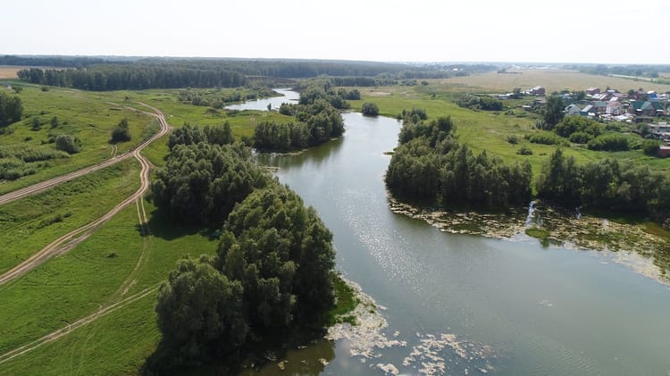 Netafim's Water Stewardship Program