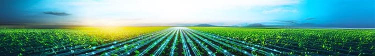Banner Digital Farming in India: How Smart Irrigation is Changing Agriculture