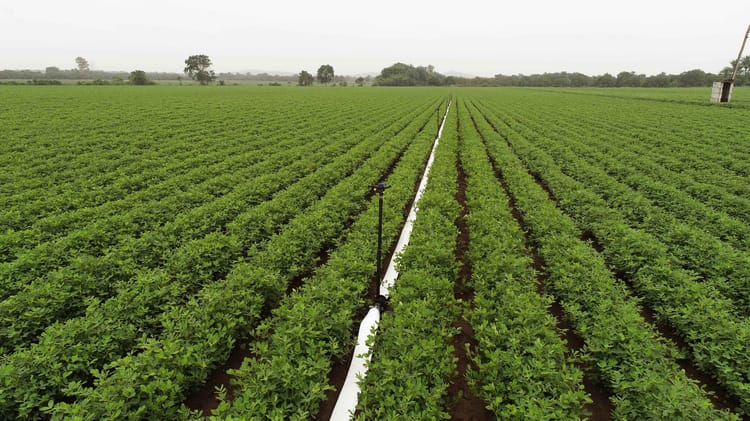 Banner The Cost-Effective Solution: Sprinkler Irrigation with FlexNet Pipe