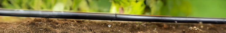 Banner How Drip Watering Systems Save Water and Boost Crop Yields