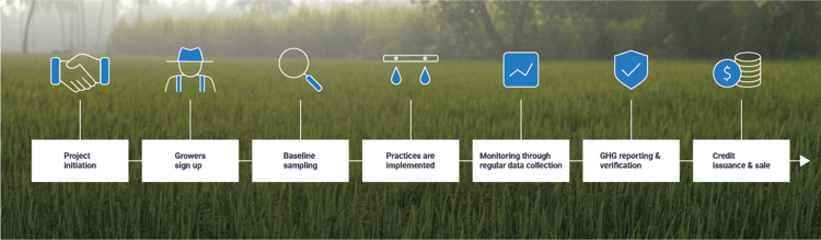 generating carbon credits infographic