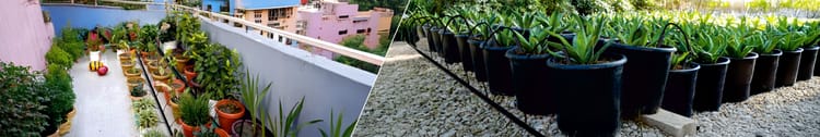 Banner Garden Drip Irrigation Kit for Home & Terrace | Netafim India