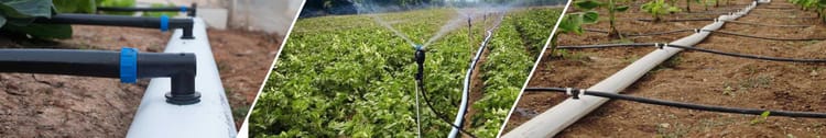 Banner How Drip Irrigation Pipes Make Farming Easier and More Profitable