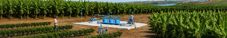 Banner Complete Guide to Fertigation Program & Drip Irrigation Layout for G9 Banana Plantation in India
