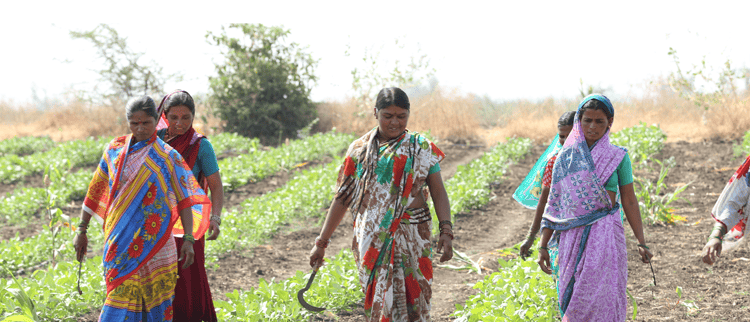 How Agritech Innovation Empowers Women in the Developing World with Drip Irrigation