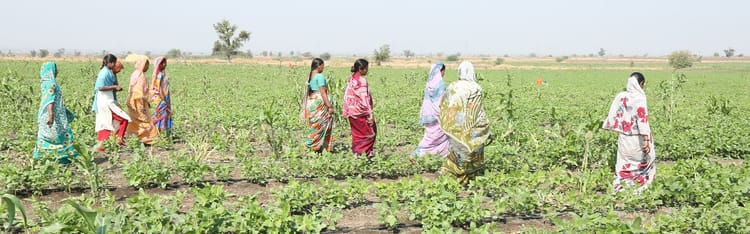 Banner INNOVATION & COLLABORATION DRIVE CHANGE IN INDIA’S FARMING COMMUNITIES