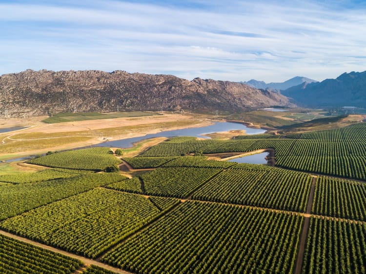 Netafim Irrigation Services