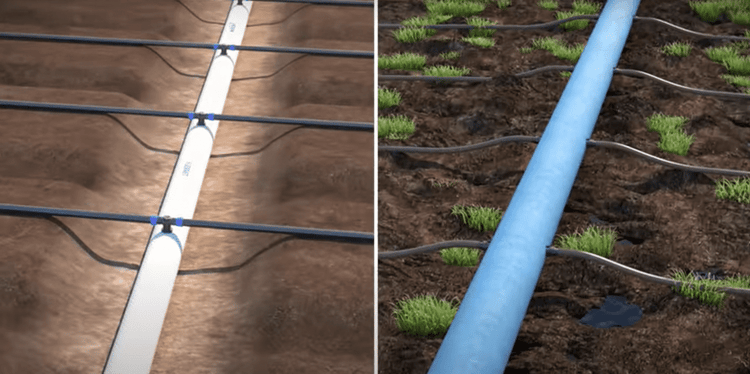 Banner Flexnet™ Vs Lapeta Pipes: An Overview Comparison