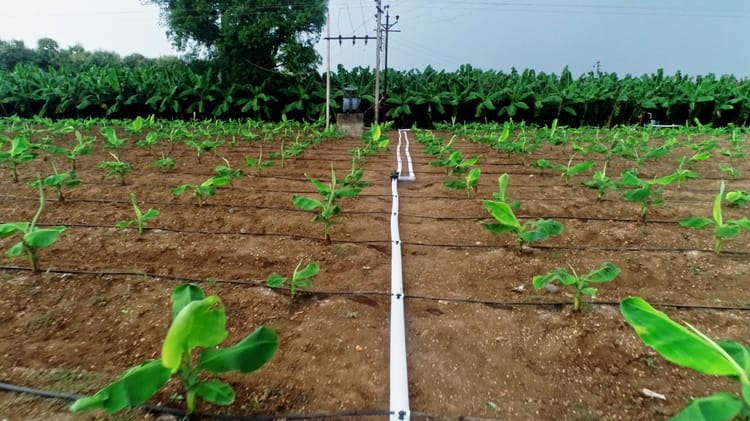 Banner How Can FlexNet™ and Streamline X Benefit Farmers?