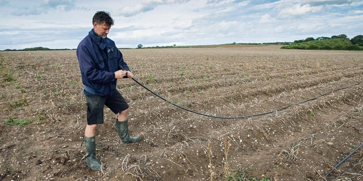 processing-potatoes-norfolk-uk