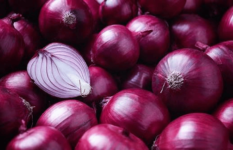 Onion
