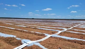 Flexible Pipes Making Drip and Sprinkler Irrigation Smarter and Simpler
