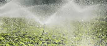 The Science of Sprinkler Irrigation: Understanding Water Distribution and Coverage