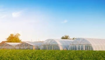 How Polyhouse Farming with Precision Irrigation Improves Crop Quality