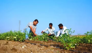 Drip Irrigation System in India: A Farmer’s Complete Buying Guide