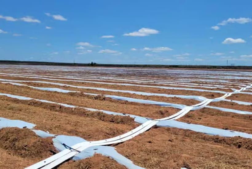 Automating Drip Watering Systems with Smart Timers & Sensors...