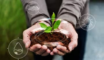 The Impact of Digital Farming on Sustainable Agricultural Practices