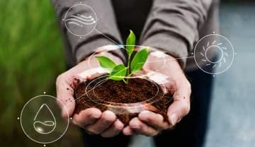 The Impact of Digital Farming on Sustainable Agricultural Practices