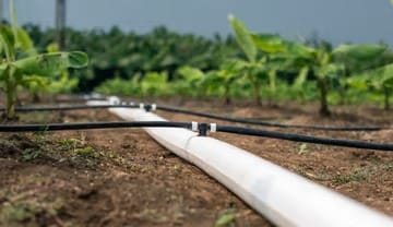 Top 10 Benefits of Netafim FlexNet™ Flexible Pipe