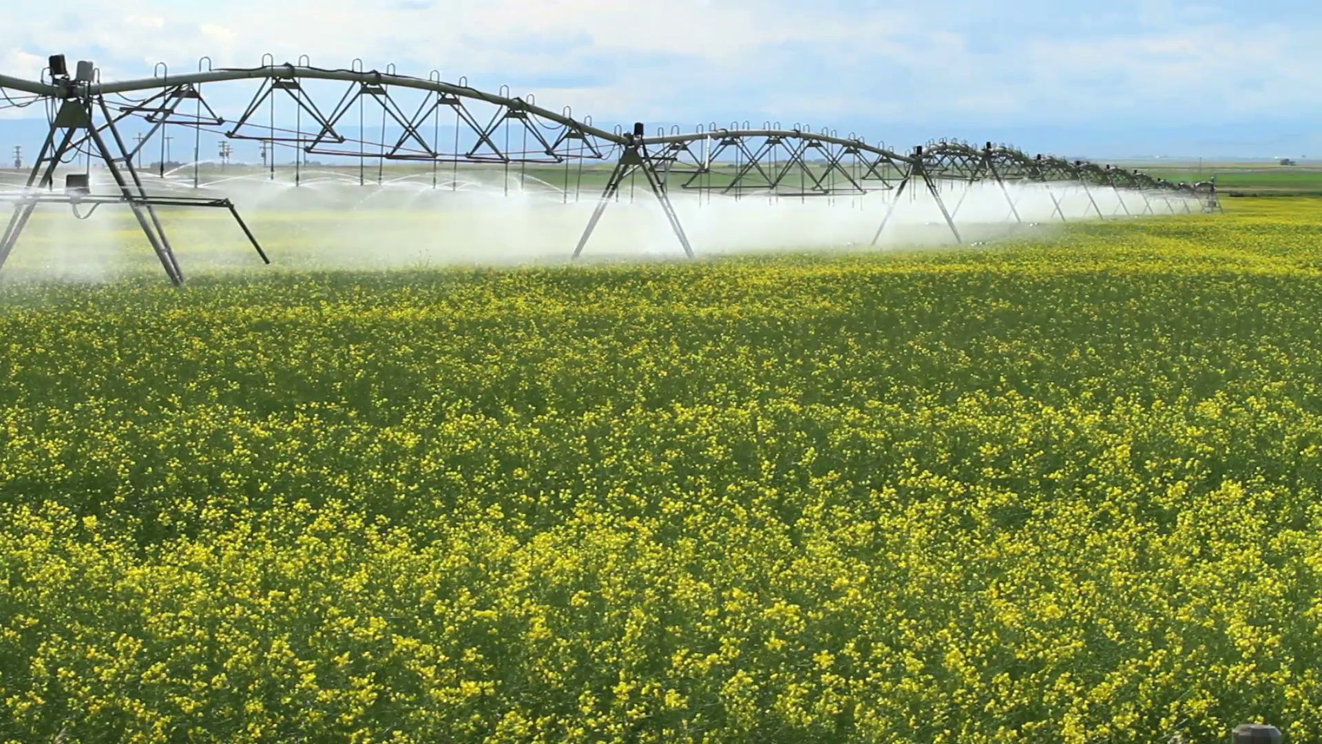 Climate-Proof Agriculture: Drip Irrigation as the Answer to Water and Yield Challenges