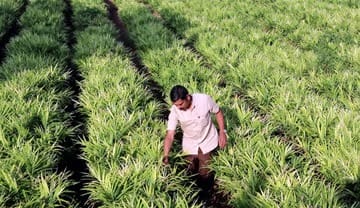 Why Micro Irrigation is the Future of Agriculture in India
