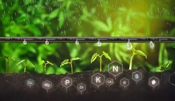 Understanding Nutrigation: Precision Fertigation with Micro Drip Irrigation