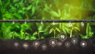 Understanding Nutrigation: Precision Fertigation with Micro Drip Irrigation