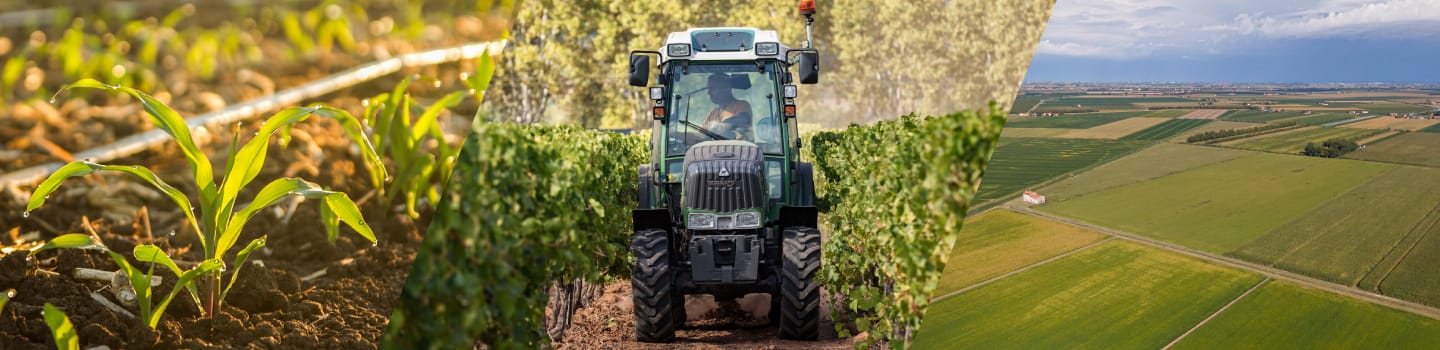 From the plant to the planet - everybody wins with precision irrigation
