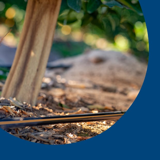 Avoiding water-waste