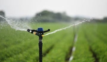 Top 5 Benefits of Using Sprinkler Irrigation Systems for Indian Farms