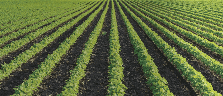 Precision Irrigation Solutions For Row Crops