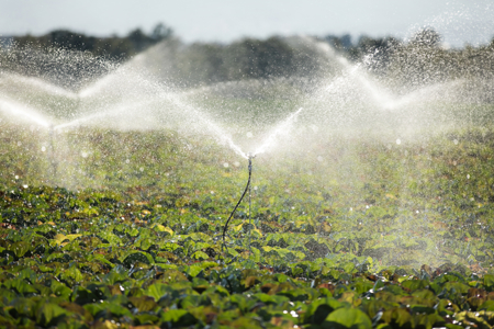 The Science of Sprinkler Irrigation: Understanding Water Distribution and Coverage