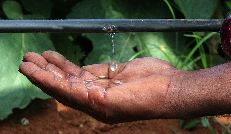 How Precision Irrigation Helps You Grow More Crops