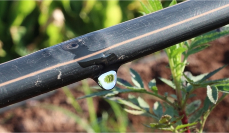Drip Irrigation can be a win-win situation for Indian farmers