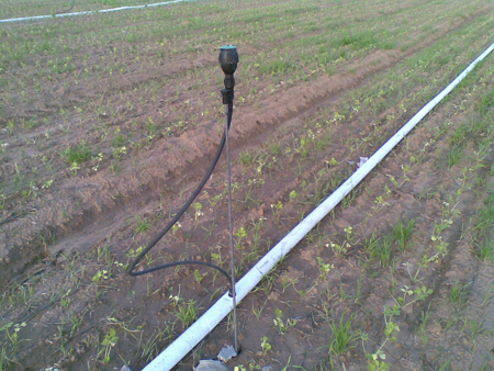 The Cost-Effective Solution: Sprinkler Irrigation with FlexNet Pipe