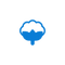 Cotton