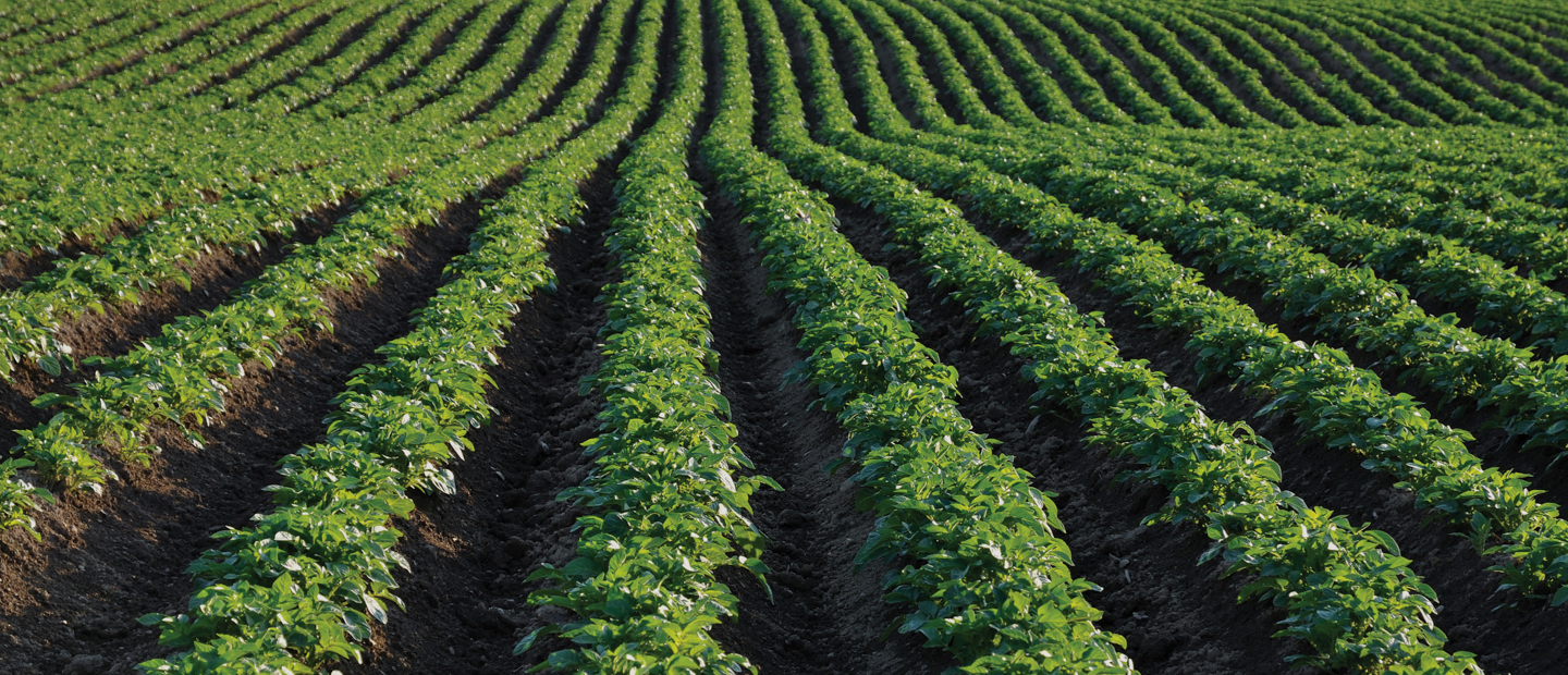 Precision irrigation for open field farms