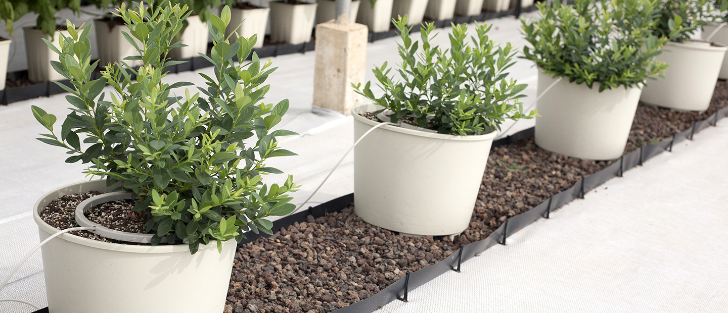NetBow | Drippers & Driplines | Drip Irrigation Product | Netafim India