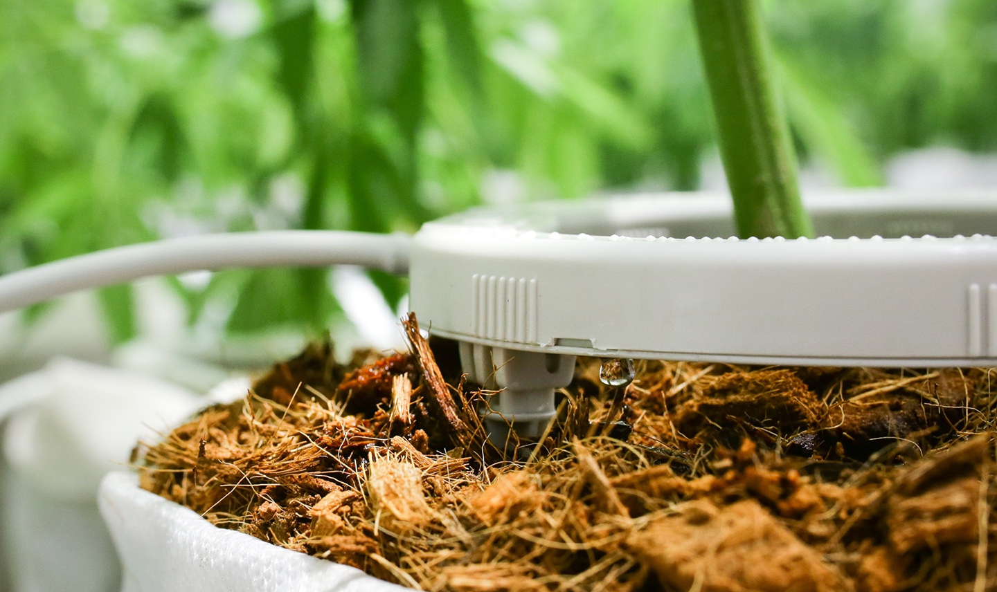 NetBow | Drippers & Driplines | Drip Irrigation Product | Netafim India