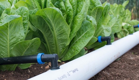 Light weighted Agricultural Irrigation Pipe – FlexNet Flexible Pipe